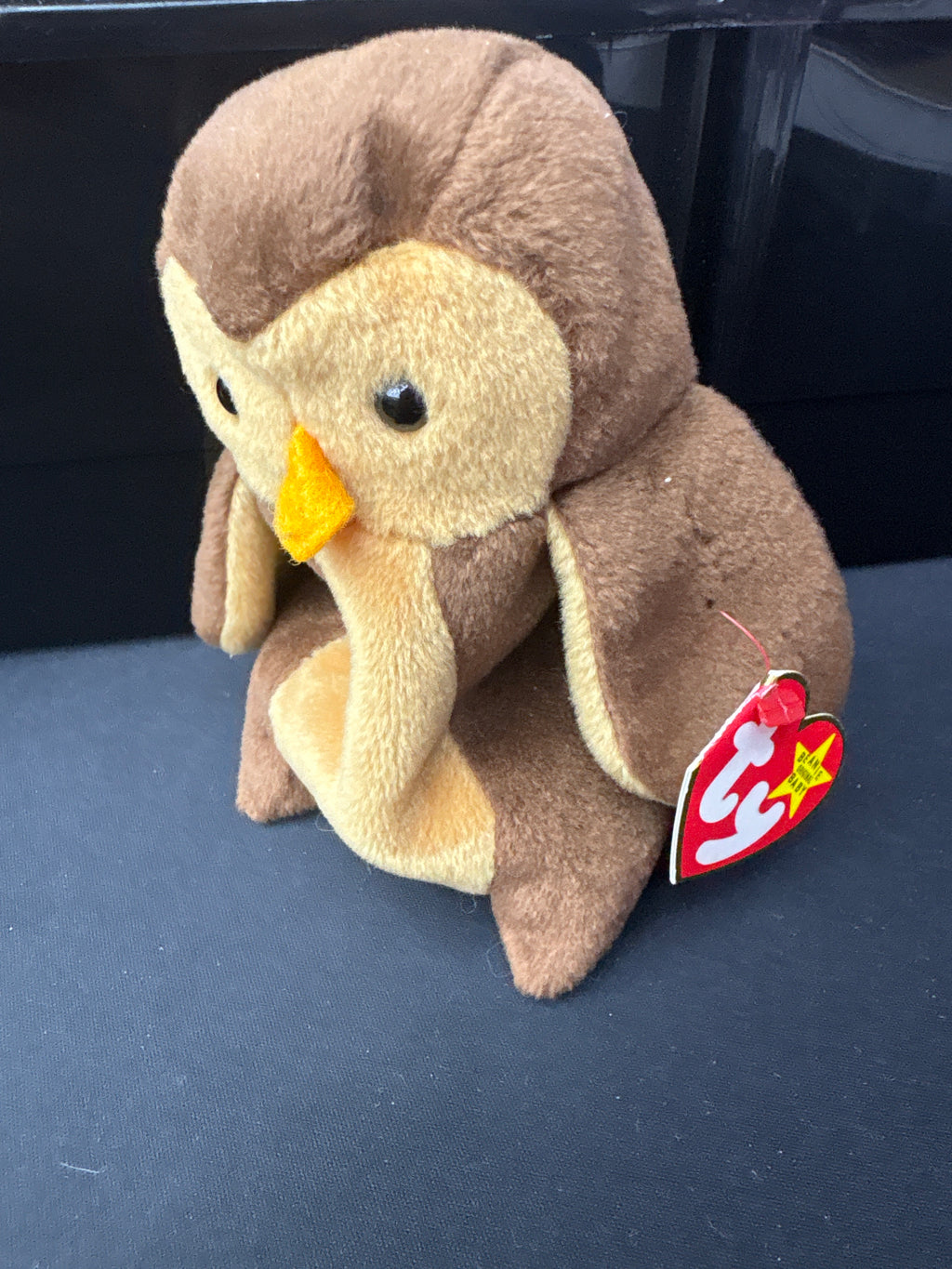 TY beanie Baby