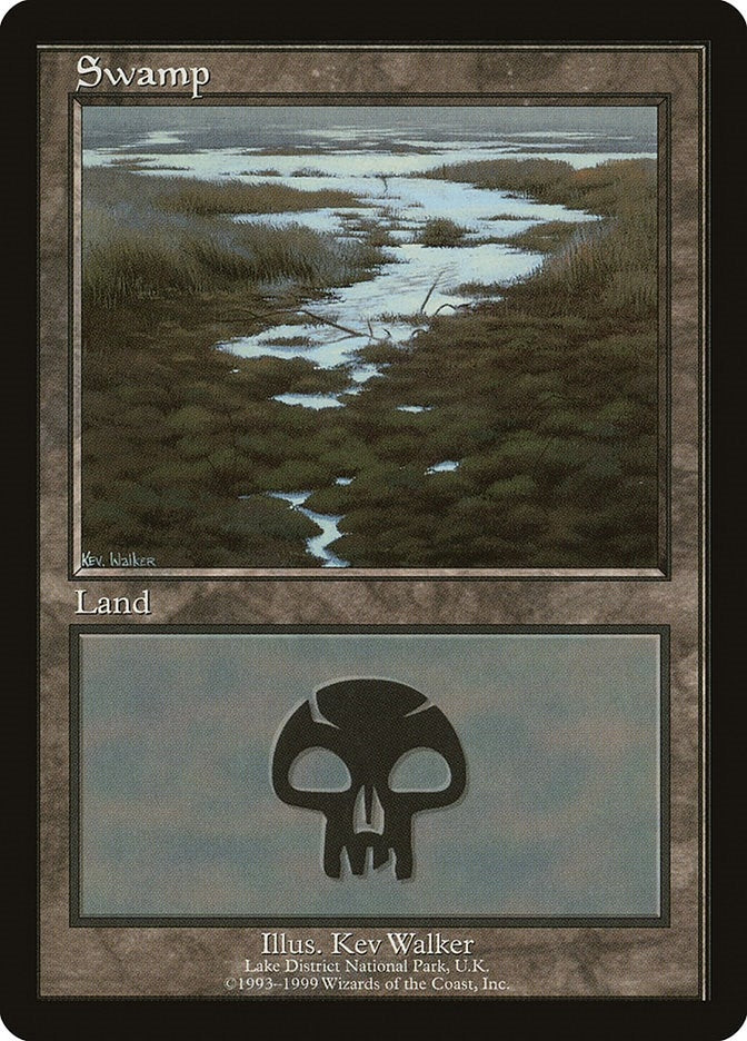 Swamp - Lake District National Park (10) (EURO)