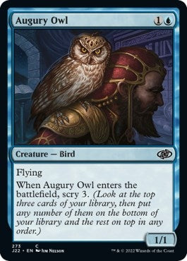 Augury Owl (273) (J22)