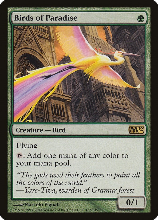 Birds of Paradise (165) (M12)