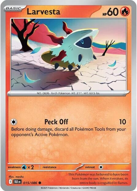 Larvesta (015/086) (BLK)