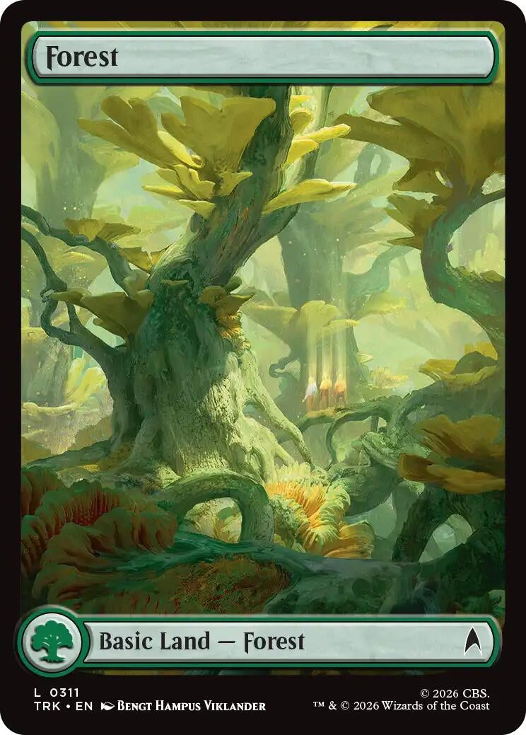 Forest (0311) (311) (TRK)
