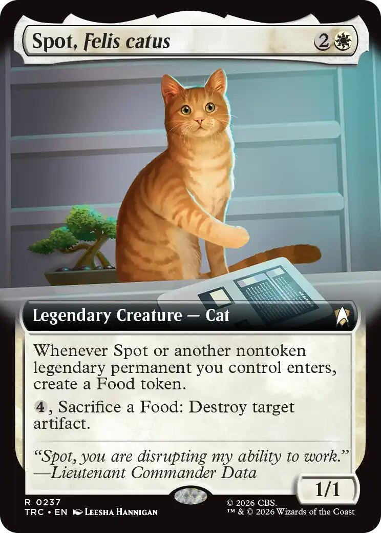 Spot, Felis catus (Extended Art) (237) (TRC)