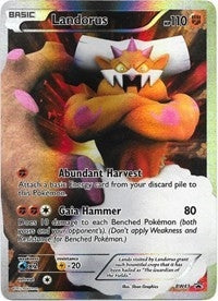 Landorus - BW43 (BW43) (PR)