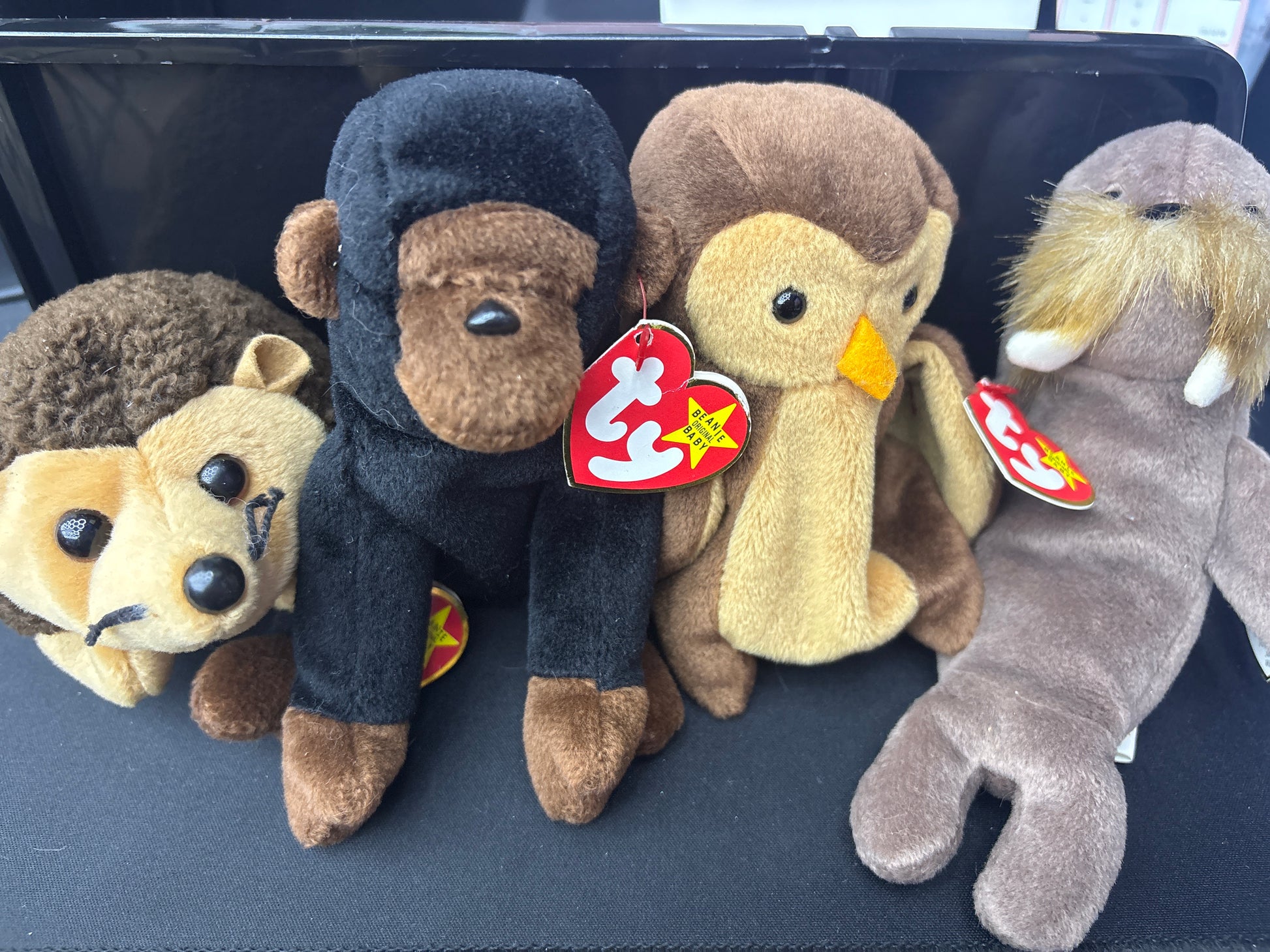 TY beanie Baby