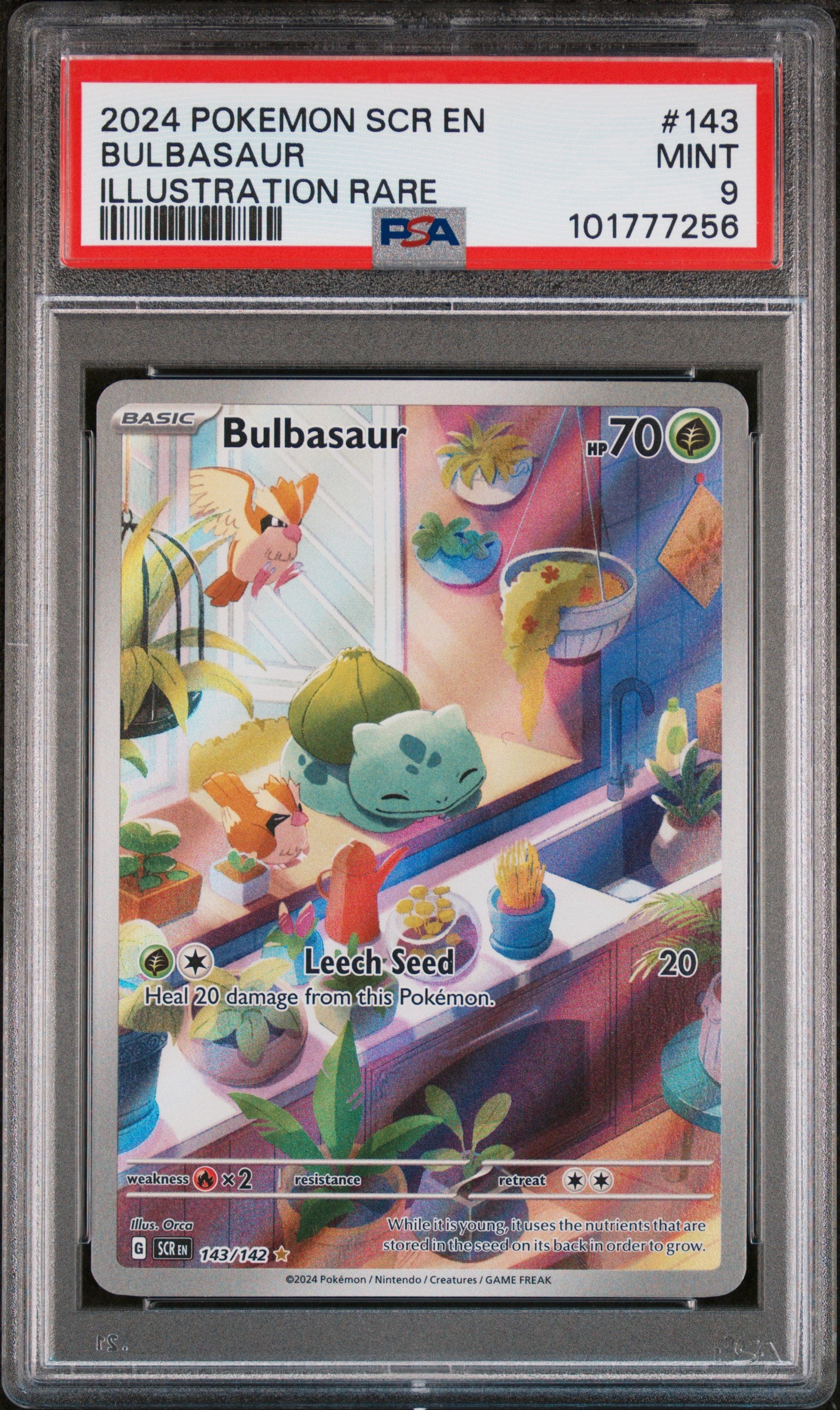 Bulbasaur Illustration Rare Pokemon Scr En-Stellar Crown 143 NM PSA 9