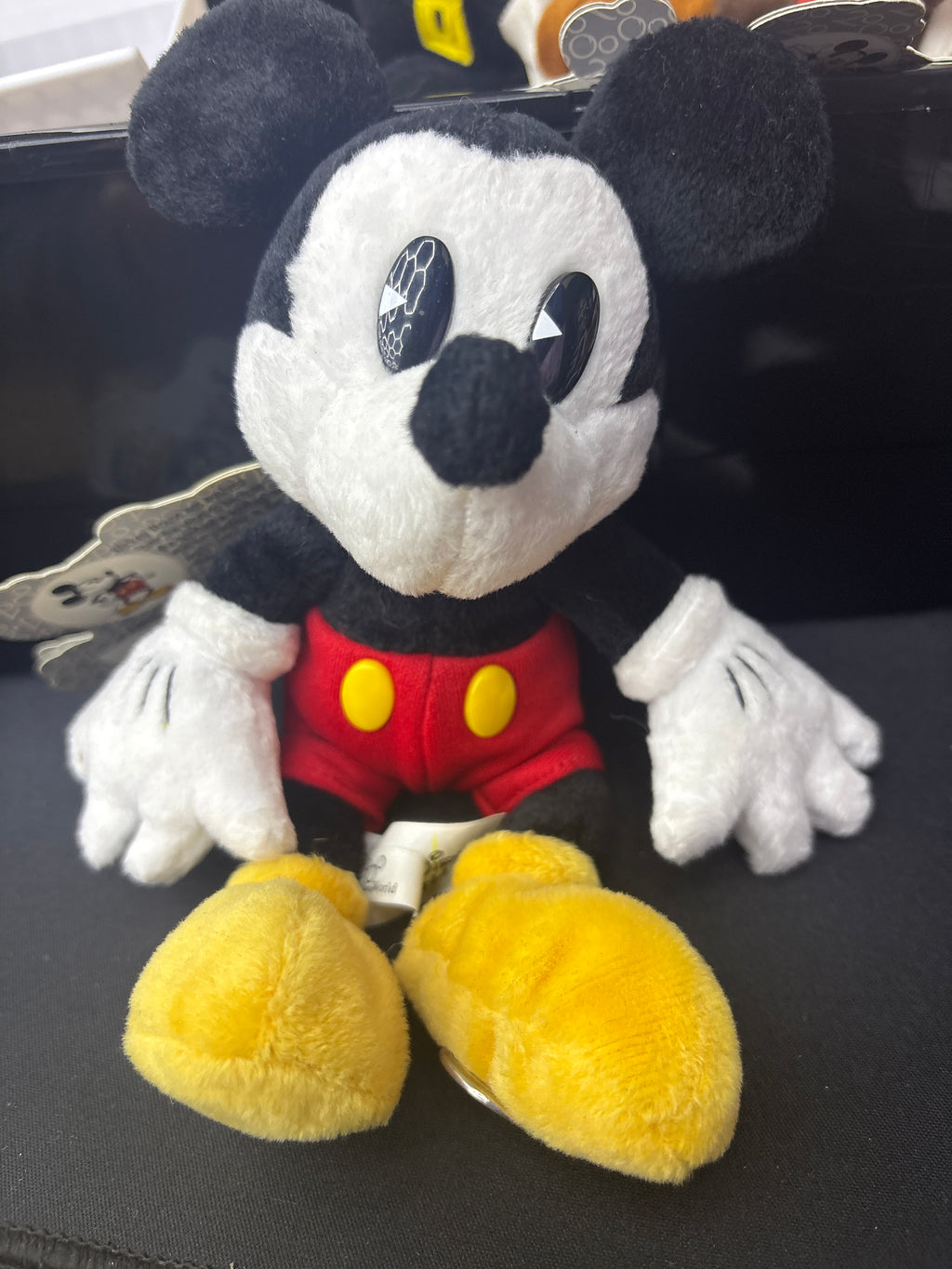 Walt Disney World | Mickey Mouse Club Millennium 8" | Bean Bag Plush