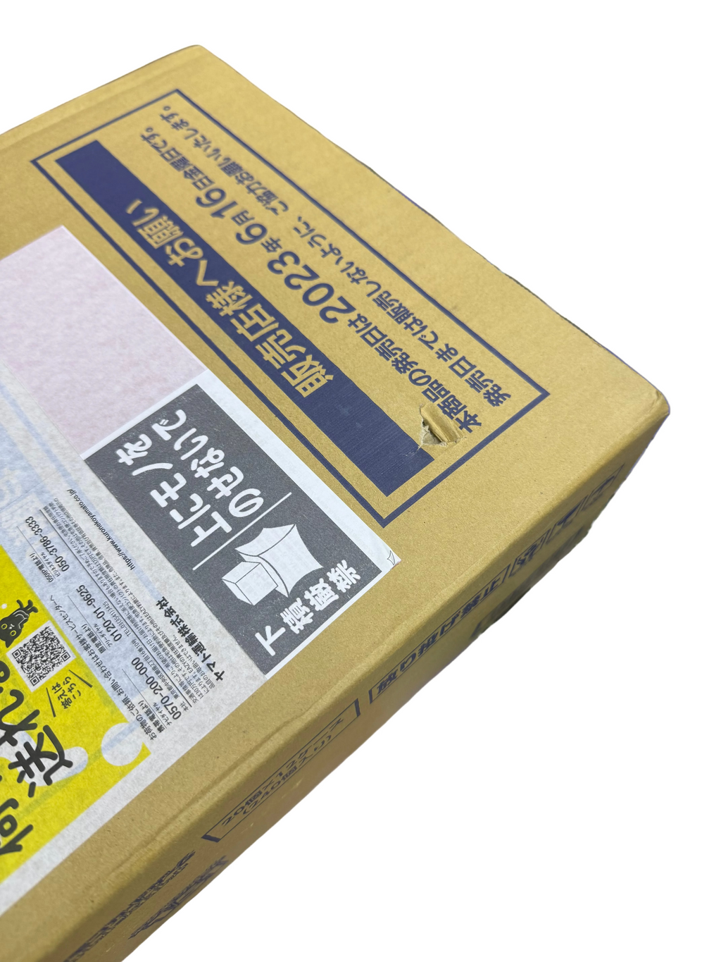 Pokémon 151 Japanese Booster Display Case