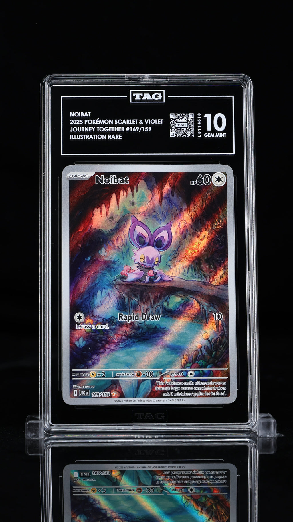 Noibat Illustration Rare 2025 Pokémon Scarlet & Violet TAG 10 GEM MINT