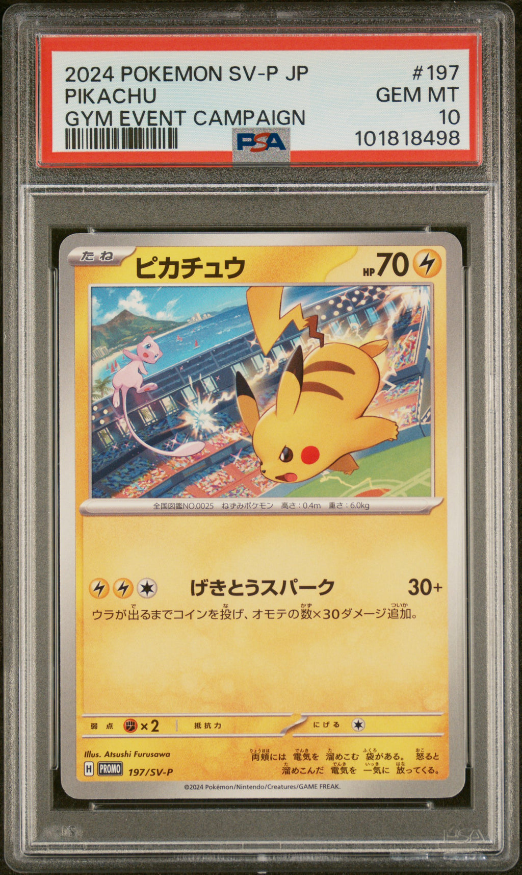 Pikachu Gym Event Campaign Pokemon Japanese Sv-P Promo 197 NM PSA 10