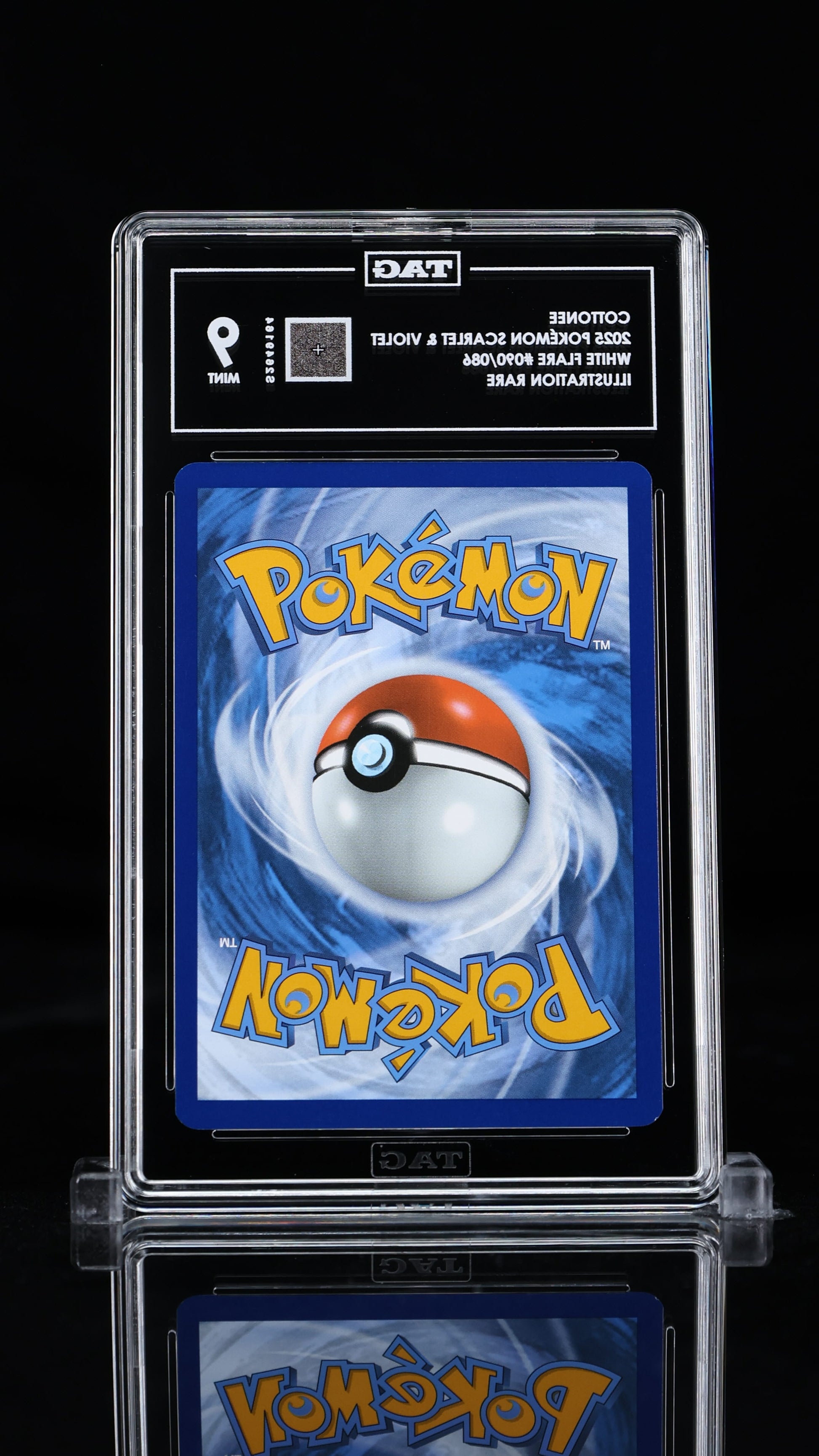 Cottonee Illustration Rare 2025 Pokémon Scarlet & Violet TAG 9 MINT